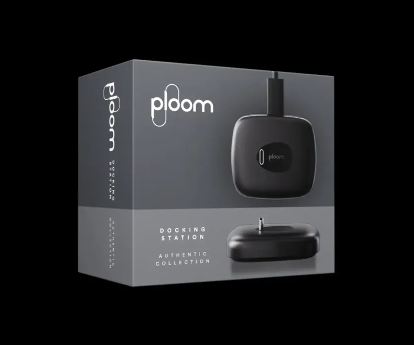 Docking station
